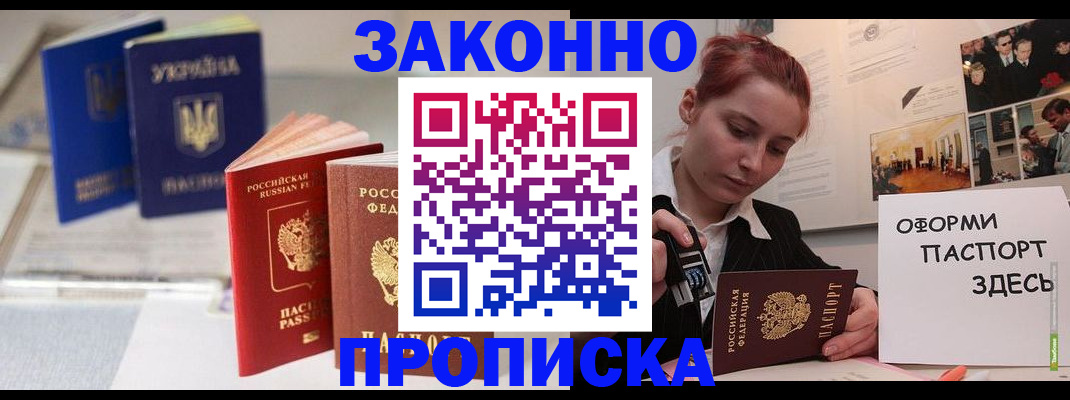 прописка поиск в Невеле